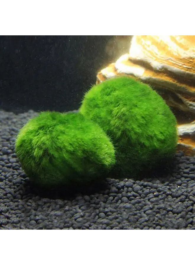 كرات الطحالب ماريمو الاصطناعية نباتات حوض السمك الواقعية نسيج الطحالب الخضراء متين مادة البولي بروبيلين الكمية 1 - Image 4